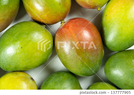 Background of many fresh ripe mangoes. Top view of colorful mango. Background of many fresh ripe mangoes. Top view of colorful mango. 137777905