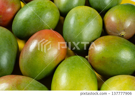 A lot of whole ripe mangoes in close-up. Vitamin fruit background. A lot of whole ripe mangoes in close-up. Vitamin fruit background. 137777906