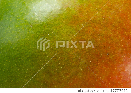 Abstract background of colorful organic macro mango peel. Abstract background of colorful organic macro mango peel. 137777911