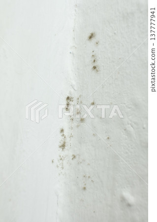Black mold and mildew growing on white wall corner. Black mold and mildew growing on white wall corner. 137777941