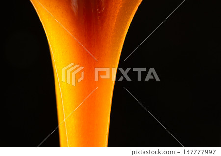 Pouring liquid caramel sauce on black background. Pouring liquid caramel sauce on black background. 137777997