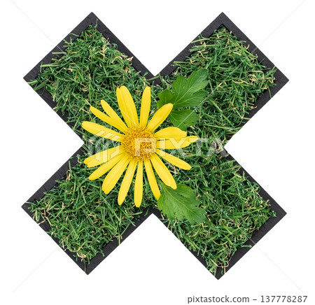 Multiplication sign made with natural green grass and yellow flowers isolated. 137778287