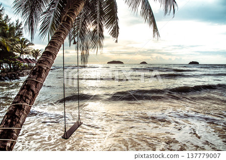 hanging a swing on a palm tree by the sea hanging a swing on a palm tree by the sea 137779007
