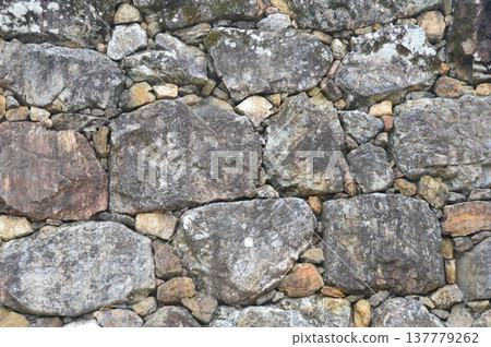 Ishigaki of Kochi Castle (Kochi City, Kochi Prefecture) 137779262