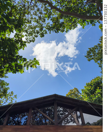 View of clouds and trees from under a wooden structure in daylight 137780132