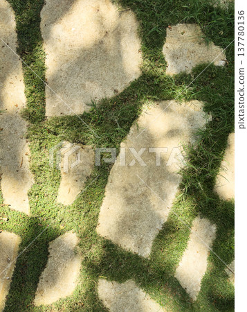 Shadows and patterns on a stone pathway surrounded by grass Shadows and patterns on a stone pathway surrounded by grass 137780136
