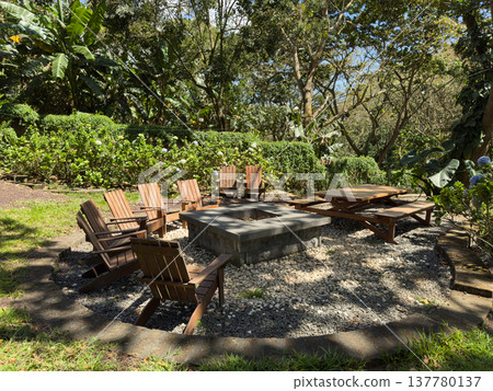 Gathering space with fire pit and seating area in a backyard Gathering space with fire pit and seating area in a backyard 137780137