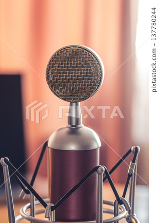 Professional microphone for sound recording, macro photography. Professional microphone for sound recording, macro photography. 137780244