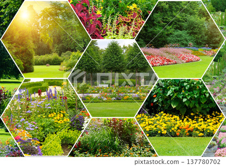 Collection of garden scenery with diverse floral arrangements, decorative landscaping, lush green trees, and colorful blossoms in a creative honeycomb design. Collection of garden scenery with diverse floral arrangements, decorative landscaping, lush green trees, and colorful blossoms in a creative honeycomb design. 137780702