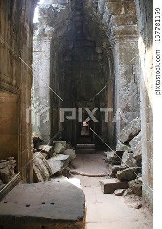 The Corridor of Ta Prohm 137781159