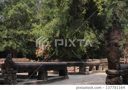 Naga of Ta Prohm 137781164