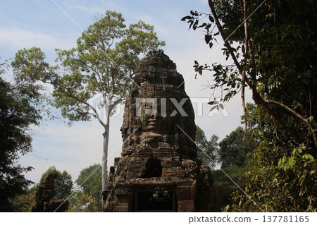Ta Prohm's West Gate Ta Prohm's West Gate 137781165