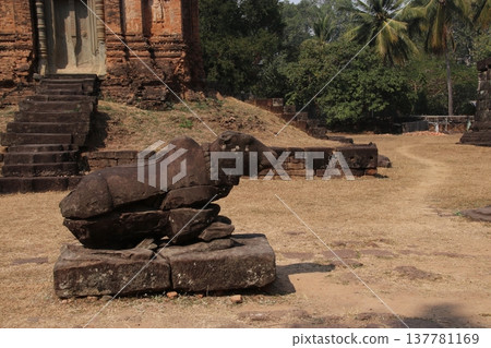 巴孔的南丁 巴孔的南丁 137781169