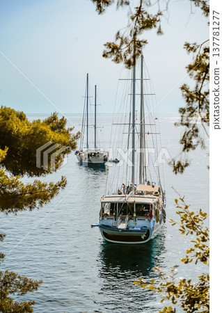 Secluded Bay with Traditional Wooden Yachts Surrounded by Pine Trees 137781277
