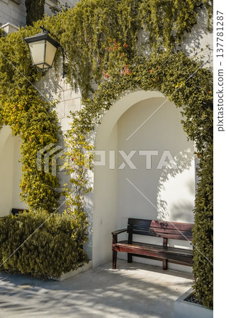 Wooden Bench Side View with Ivy Wall and Wall Lamp Wooden Bench Side View with Ivy Wall and Wall Lamp 137781287