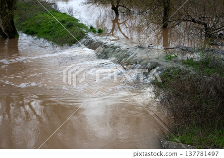 The impact of floods in Portugal in 2026, when rivers overflow and inundate agricultural fields The impact of floods in Portugal in 2026, when rivers overflow and inundate agricultural fields 137781497