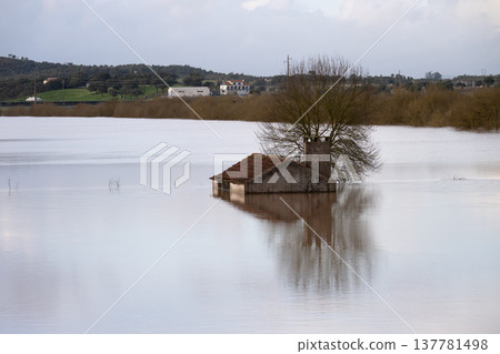 The impact of floods in Portugal in 2026, when rivers overflow and inundate agricultural fields The impact of floods in Portugal in 2026, when rivers overflow and inundate agricultural fields 137781498