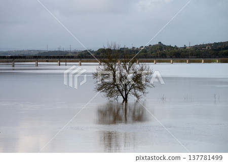 The impact of floods in Portugal in 2026, when rivers overflow and inundate agricultural fields The impact of floods in Portugal in 2026, when rivers overflow and inundate agricultural fields 137781499
