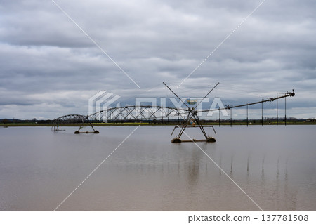 The impact of floods in Portugal in 2026, when rivers overflow and inundate agricultural fields The impact of floods in Portugal in 2026, when rivers overflow and inundate agricultural fields 137781508