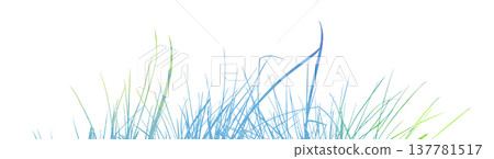 horizontal banners of meadow colored silhouettes with grass. hand drawn. Not AI, Vector illustration horizontal banners of meadow colored silhouettes with grass. hand drawn. Not AI, Vector illustration 137781517