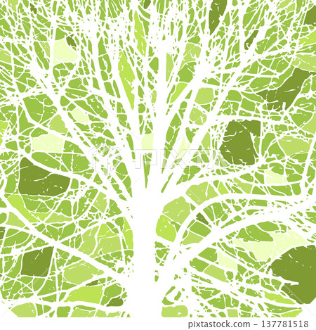 Realistic green natural tree bare branches silhouette on a white background. Tracing a tree branch. Not AI, Vector illustration 137781518