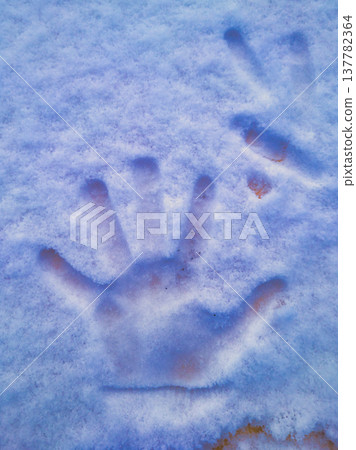 Human Handprint in Deep Fresh Snow Detail | Winter Play and Human Touch Concept Photography in Budapest Hungary February Cold Weather Background without Special Characters or Hungarian Accents Human Handprint in Deep Fresh Snow Detail | Winter Play and Human Touch Concept Photography in Budapest Hungary February Cold Weather Background without Special Characters or Hungarian Accents 137782364