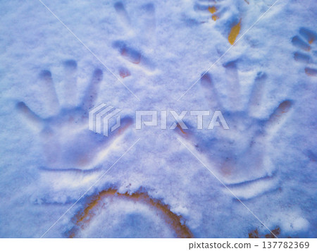 Child Handprints in Deep Fresh Snow Detail Winter Play and Childhood Memories Concept Photography in Budapest Hungary February Cold Weather Scene without Hungarian Accents 137782369