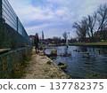 Winter Day at Paskal Park Budapest Behind Zenit Corso. Scenic Outdoor View of Mallard Ducks on a Pond with a Water Fountain in Zuglo District. Peaceful Public Garden Landscape Photography in Hungary. 137782375