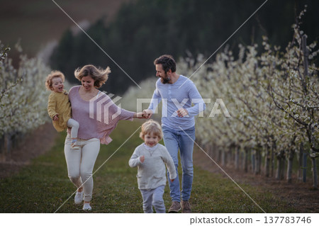 Family with two small children on wlak in blooming orchard. 137783746