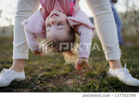 Parent lifting children upside down during playful springtime moment. Parent lifting children upside down during playful springtime moment. 137783789