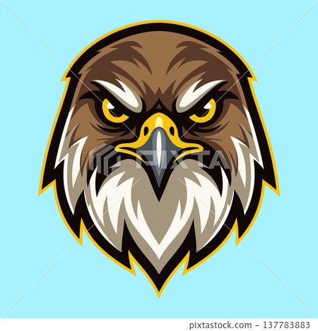 Eagle Face Illustration Character Vector Logo Template 137783883