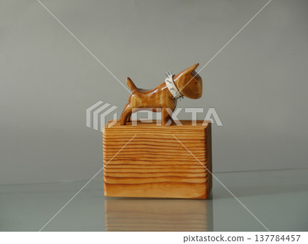 Bull Terrier dog 137784457