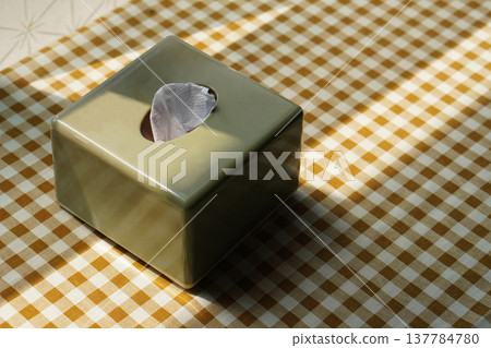 top view green and white Tissues in a box on a glass on a brown and white plaid pattern table background, object, decor, fashion, copy space top view green and white Tissues in a box on a glass on a brown and white plaid pattern table background, object, decor, fashion, copy space 137784780