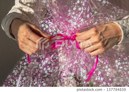 Hands tie pink ribbon on clear gift wrap Hands tie pink ribbon on clear gift wrap 137784830