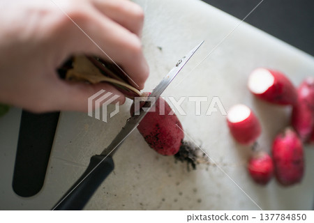 Human hand cutting radish in domestic kitchen 137784850