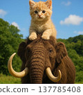 A kitten with a mammoth's head traversing the grasslands 137785408
