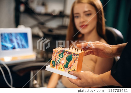 Explaining the hair growth process, holding model. Woman is in a beauty salon with hair stylist Explaining the hair growth process, holding model. Woman is in a beauty salon with hair stylist 137785481