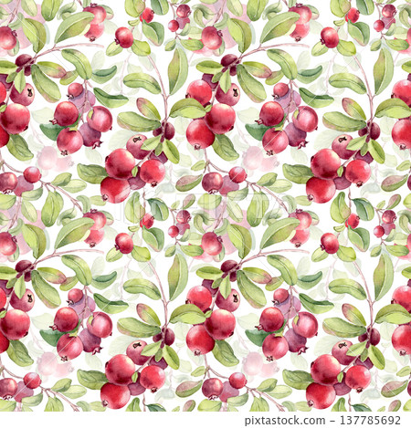 Seamless pattern with watercolor lingonberry branches and berries for natural background. Ripe fresh red berry plant hand drawn repeat print isolated. Healthy organic fruit design for wrapping paper. Seamless pattern with watercolor lingonberry branches and berries for natural background. Ripe fresh red berry plant hand drawn repeat print isolated. Healthy organic fruit design for wrapping paper. 137785692