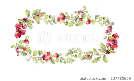 Watercolor botanical wreath with lingonberry on branches hand painted isolated. Fresh ripe fruits decorative frame for food packaging, organic product. Summer design blank space with redberry. 137785699