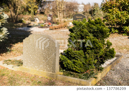 In a cemetery, several gravestones are visible with fresh flowers and decorations. The scene captures a moment of remembrance in broad daylight In a cemetery, several gravestones are visible with fresh flowers and decorations. The scene captures a moment of remembrance in broad daylight 137786209