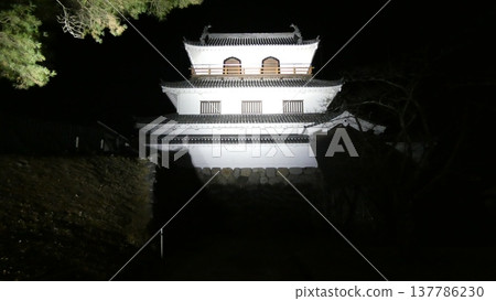Trees nestled beside the illuminated castle 137786230