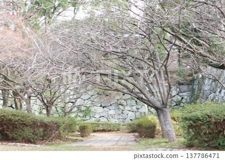 2024年，福岡，福岡市，風景，中央區，城內，福岡城，福岡城遺址，第107部分 137786471