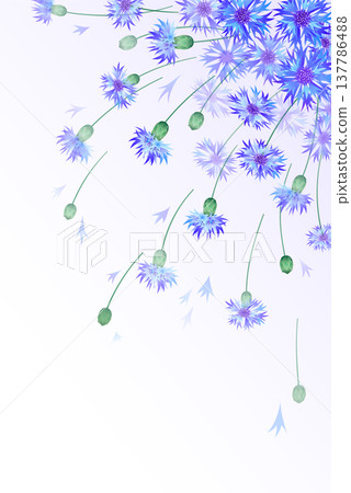 Vertical vector card with bluebottles Vertical vector card with bluebottles 137786488