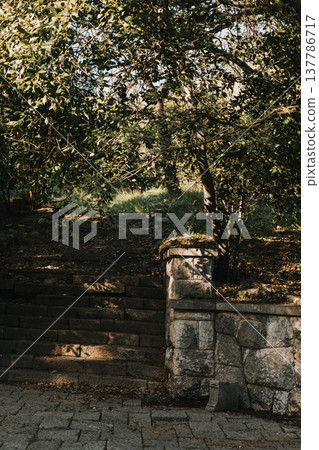 Beautiful old park on a sunny day in Montenegro. 137786717