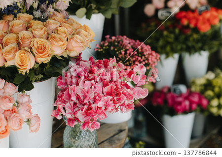 Amazing flowers in a Flower shop. Amazing flowers in a Flower shop. 137786844