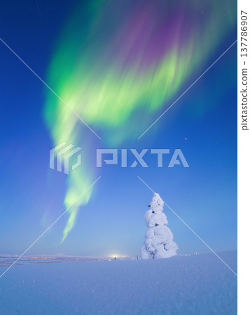 Night landscape of aurora borealis over a winter forest. Scandinavian winter nature. 137786907