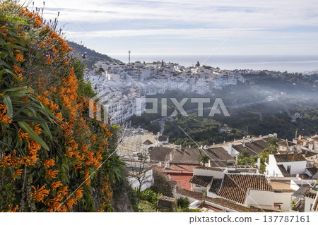 View of Frigiliana in Spain with flowers and buildings on a clear day showing the coast in the distance View of Frigiliana in Spain with flowers and buildings on a clear day showing the coast in the distance 137787161