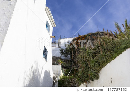 Exploring the narrow streets of Frigiliana, Spain on a sunny day while admiring white buildings and vibrant plants Exploring the narrow streets of Frigiliana, Spain on a sunny day while admiring white buildings and vibrant plants 137787162
