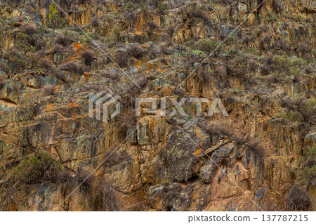 Rugged rocks and dry plants on mountainside during daytime 137787215
