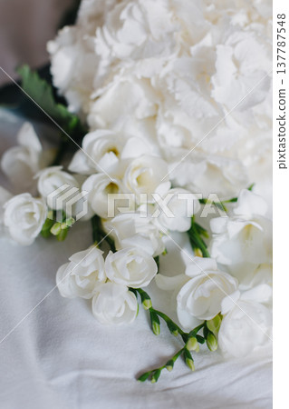 Beautiful white Freesia and Hydrangea flowers on a white background in a morning sunlight. Beautiful white Freesia and Hydrangea flowers on a white background in a morning sunlight. 137787548